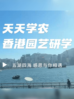 与香港园艺学会联合举办香港园艺研学，专业园境师带队讲解。